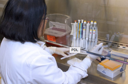 PDL